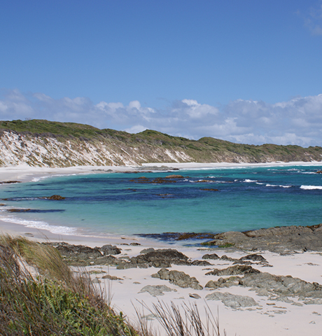 8971 CIC Annual Plan 2022 23 News Tile 480x460px