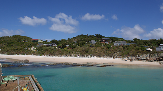 Chatham Islands beach news