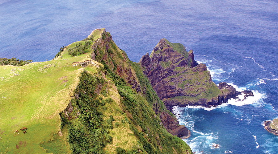 Chatham island cliff