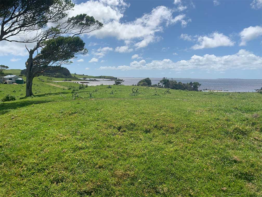 Chathams Te Whanga Lagoon