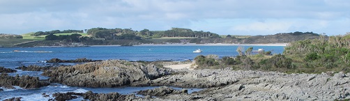 Kaingaroa APfrontcover 20 21 featured img