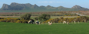 EFW Regulations CIC2