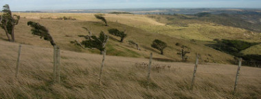 EFW Regulations CIC3