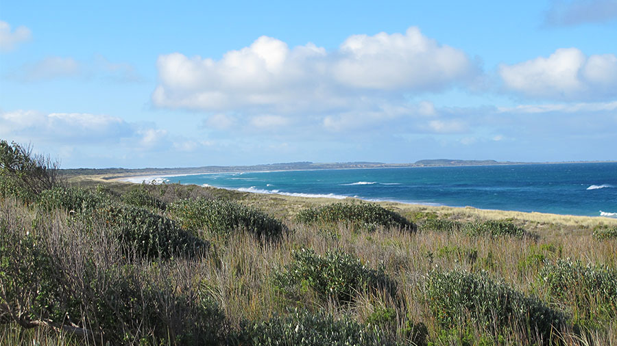 CIC NewsStory Debbie visit to CI