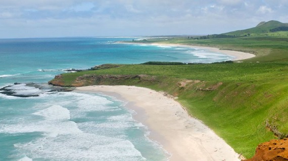 Chatham Islands beach