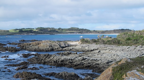 Kaingaroa APfrontcover 20 21 news content pg