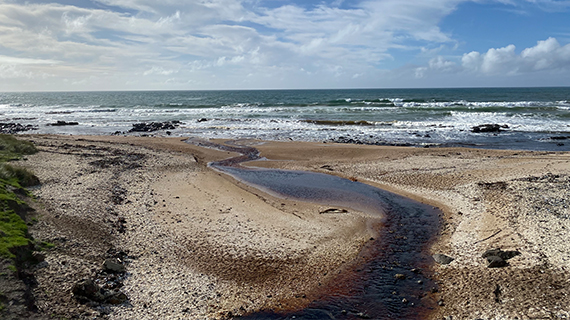 Freshwater story main image