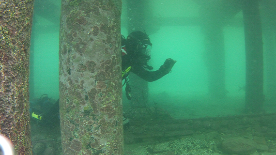 Lead image dive survey