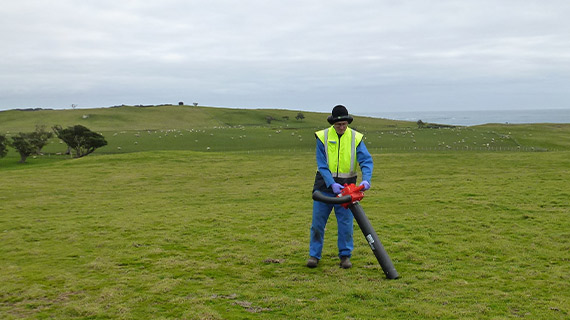 Mark blover vac sample