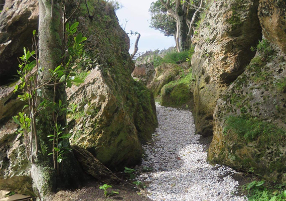 Walkway at Blind Jim's