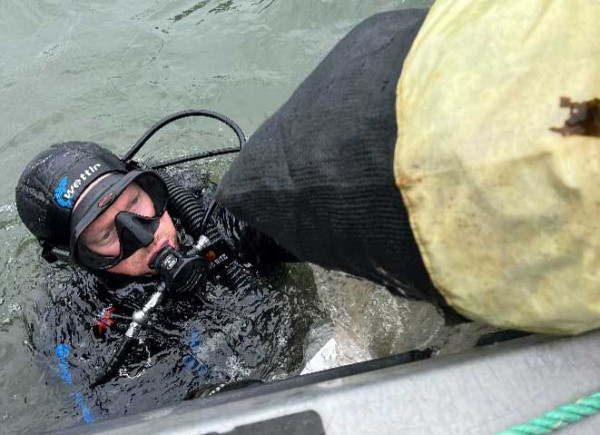 Loading Undaria onto the boat
