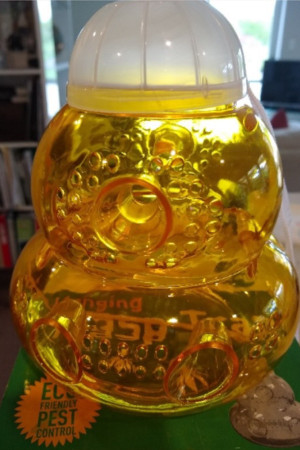 Wasp trap