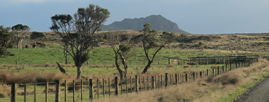 Rates remissionn policy