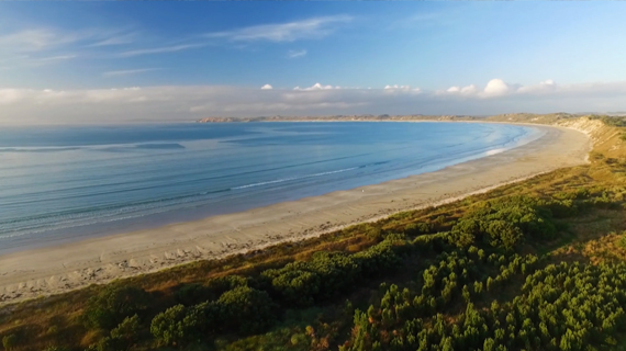 Discover the Chahams