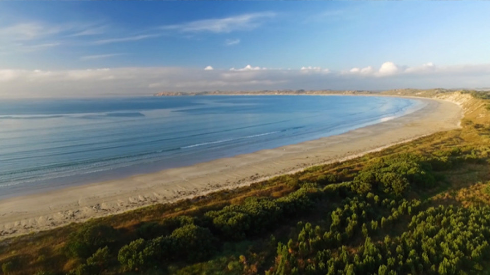 Discover the Chahams