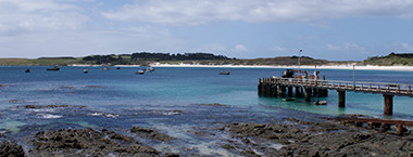 Port Charges Feature