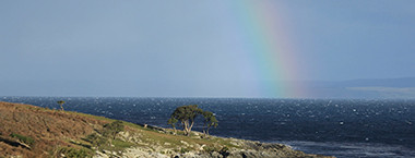 Rainfall Data Feature