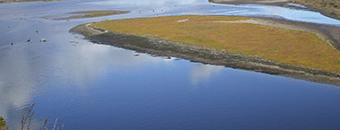 Soil Temperature Data Feature