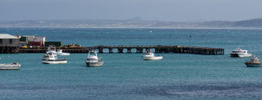 Swing Moorings Feature