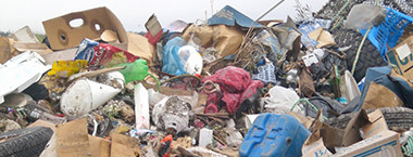 Waste Management Feature