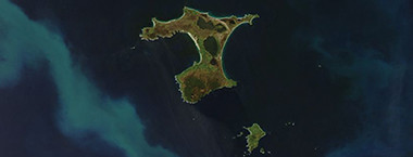 Weather Forcast Feature