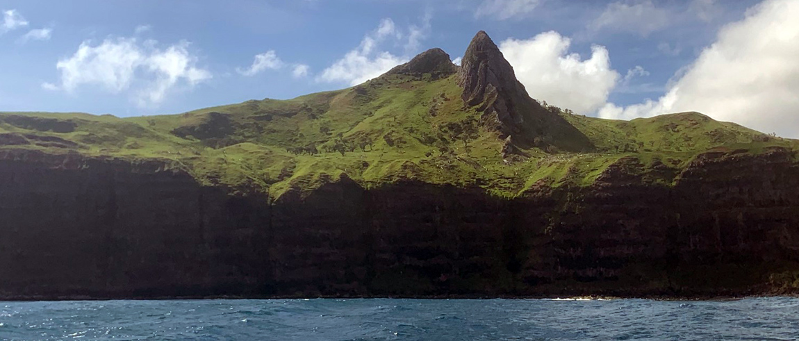 CIC feral animals image Chathams landscape